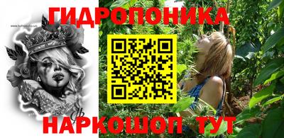 гашик Бердск