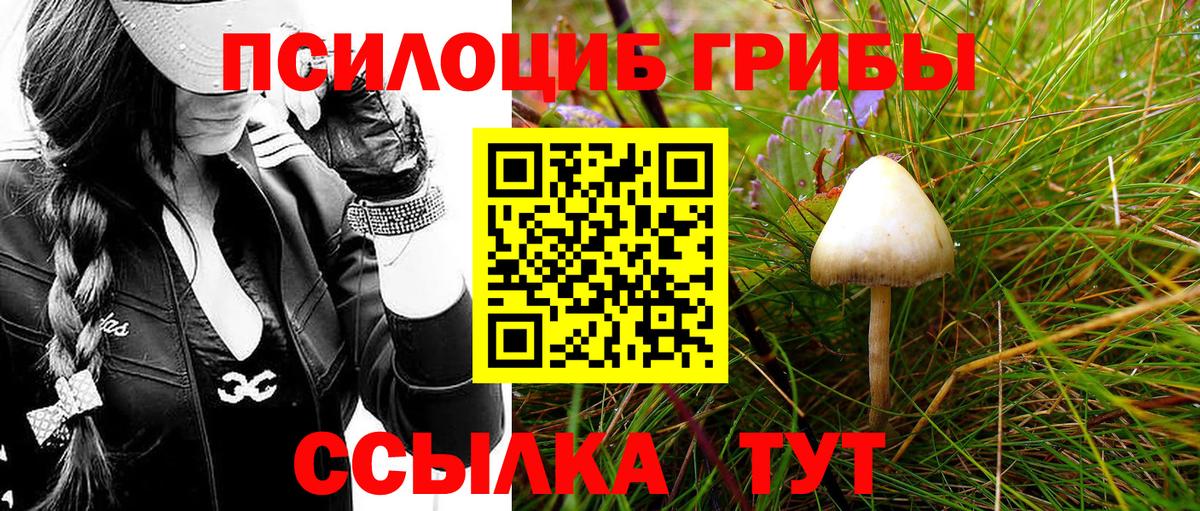 Псилоцибиновые грибы мухоморы Каспийск