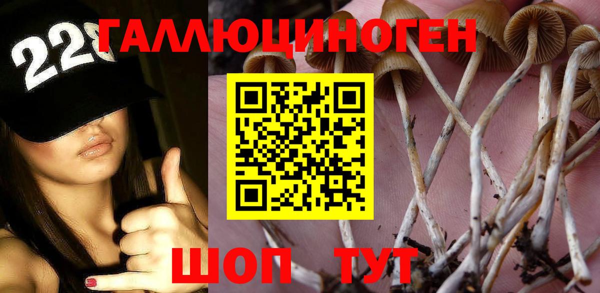 Галлюциногенные грибы Cubensis  Псилоцибиновые грибы Psilocybe  Вход с VPN  Каспийск 
